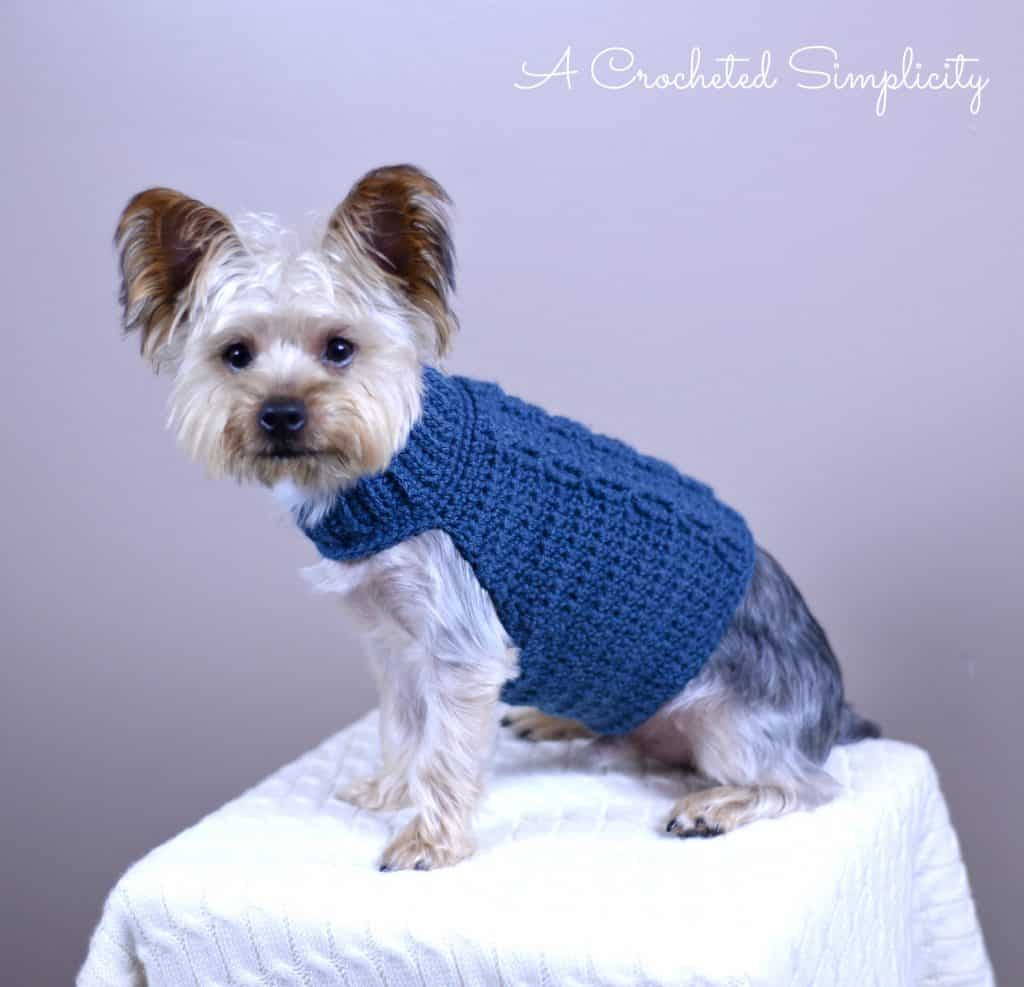 Cabled Crochet Dog Sweater regarding Free Printable Crochet Dog Sweater Patterns