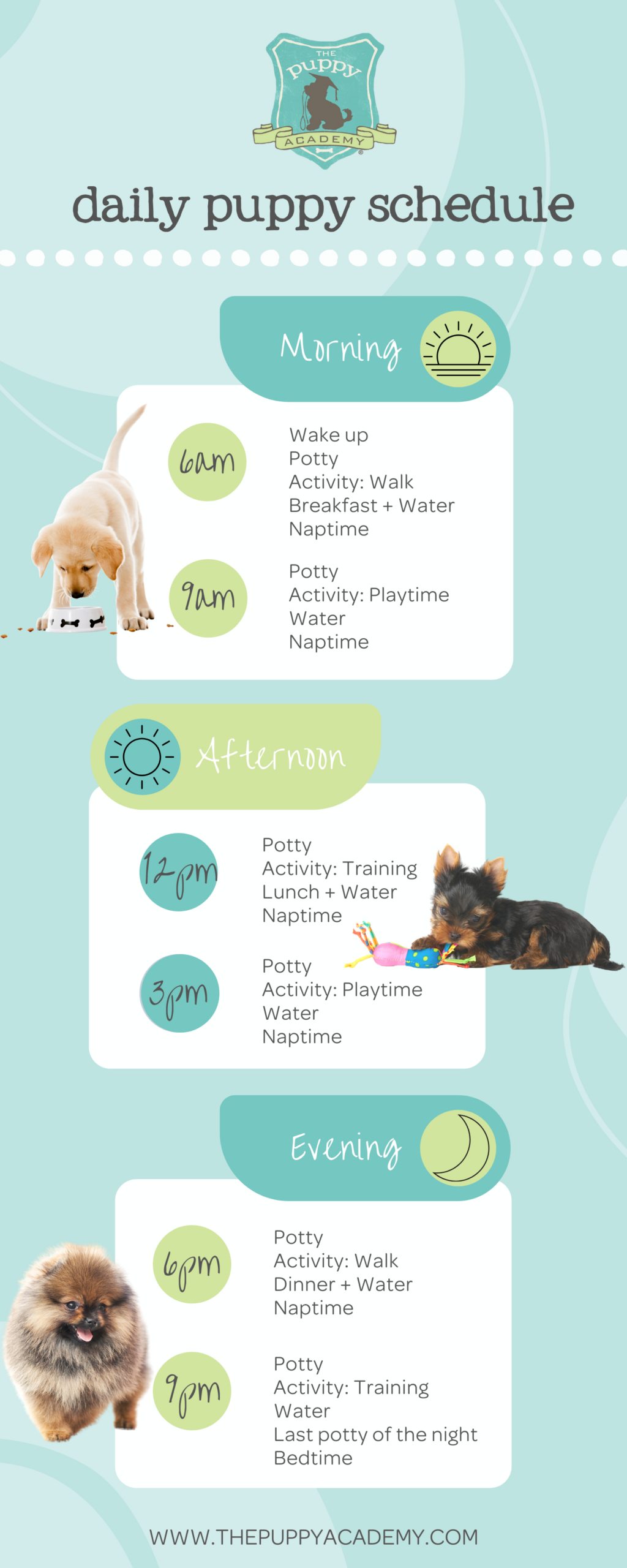 Create A Daily Puppy Schedule! — The Puppy Academy for Daily Routine Printable Puppy Schedule