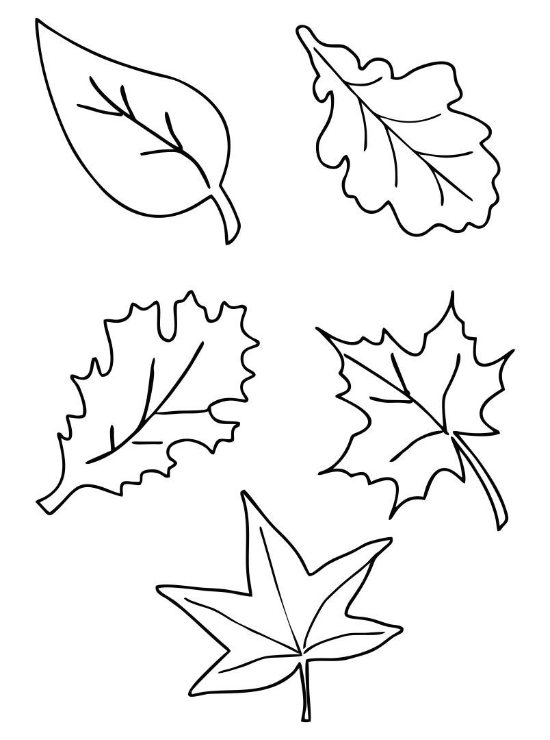 Fall Leaf Printables - Printable Party Favors with Free Printable Fall Leaf Templates