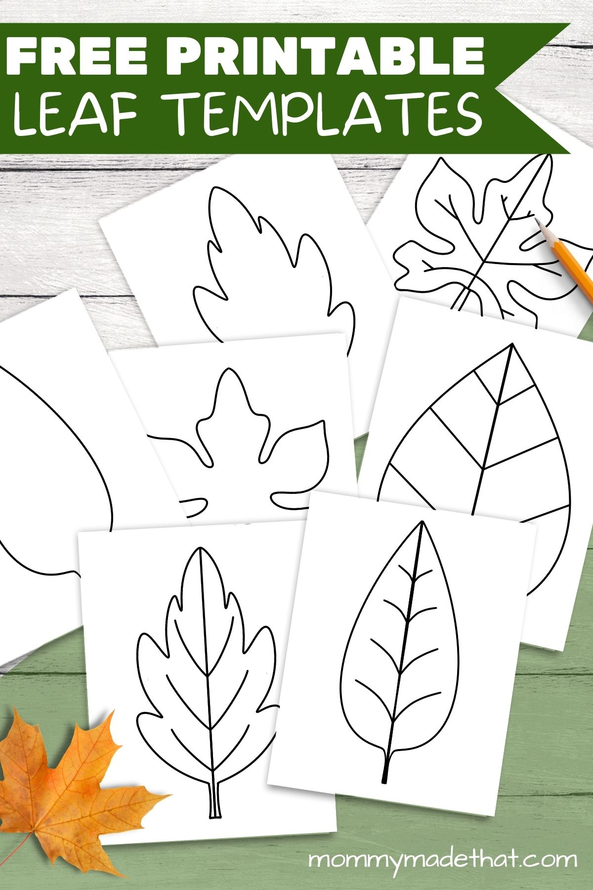 Free Leaf Templates &amp;amp; Outlines: Tons Of Printables!! with Free Printable Fall Leaf Templates