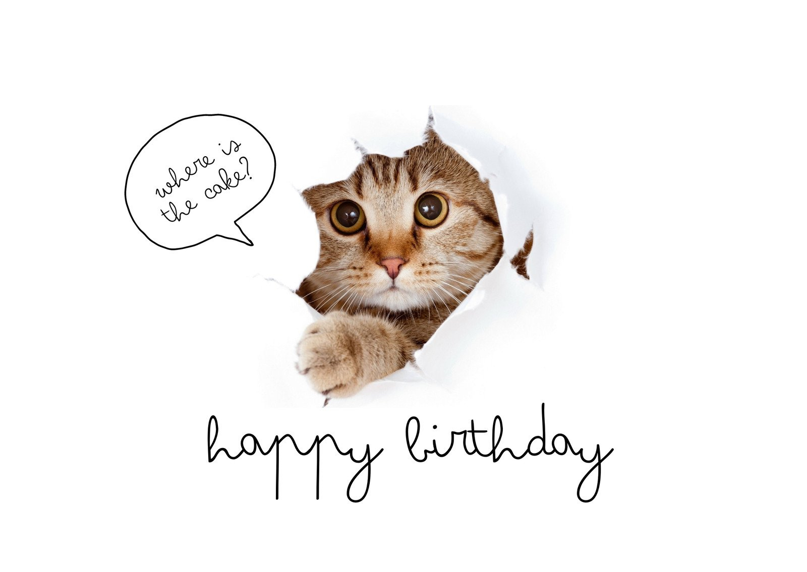 Free Printable Funny Birthday Card Templates | Canva regarding Funny Free Printable Birthday Cards