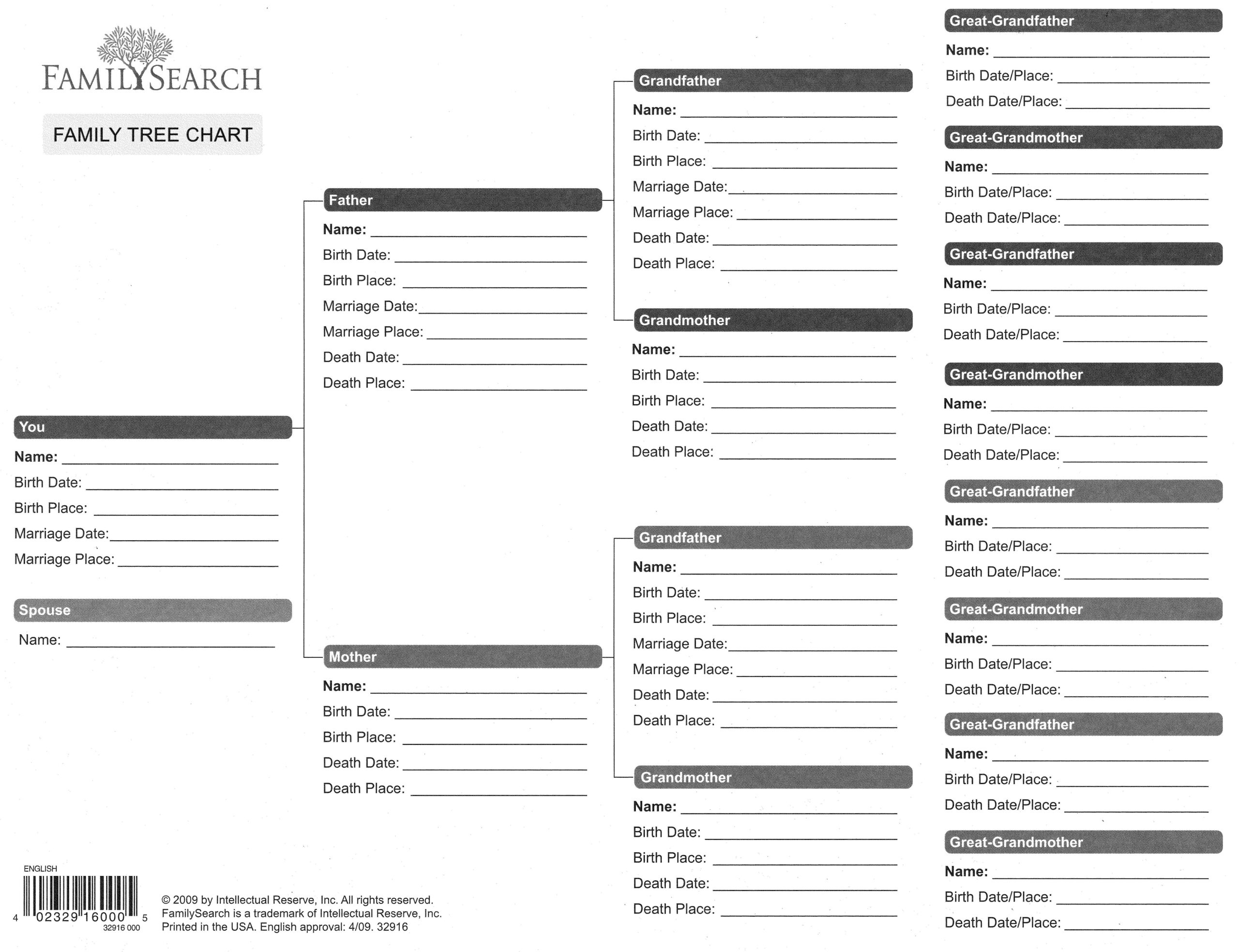 Free Printable Genealogy Forms Individual Worksheet - Worksheets inside Free Printable Genealogy Forms Individual Worksheet