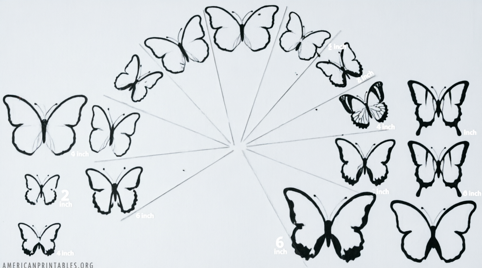 Free Printable Butterfly Templates Different Sizes (3)