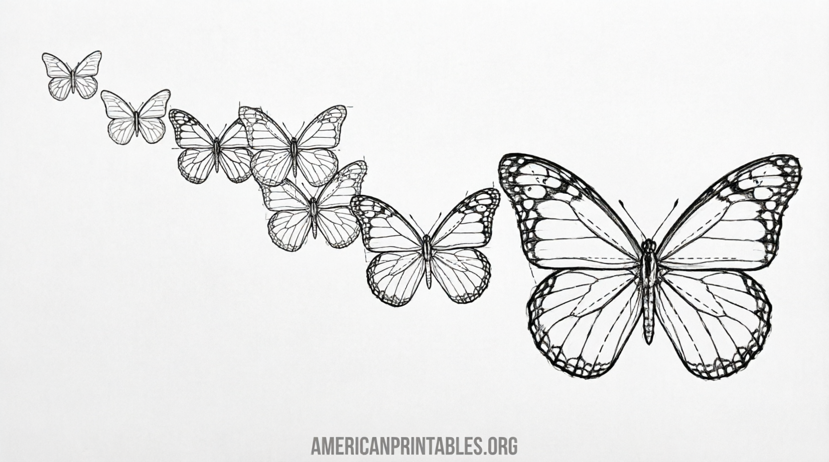 Free Printable Butterfly Templates Different Sizes (4)