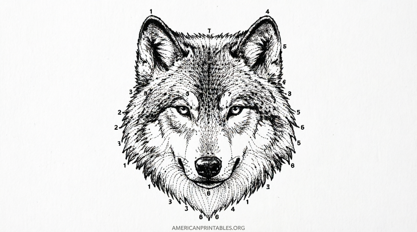 Free Printable Dot to Dots for Adults (1)