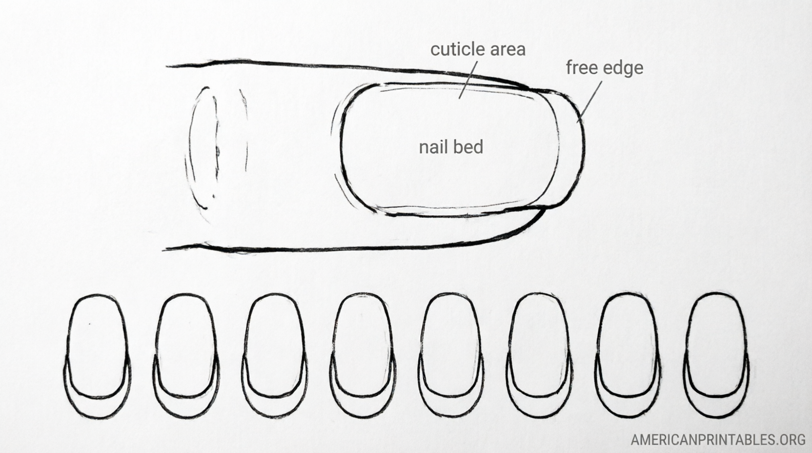 Free Printable Nail Art Practice Sheets (3)