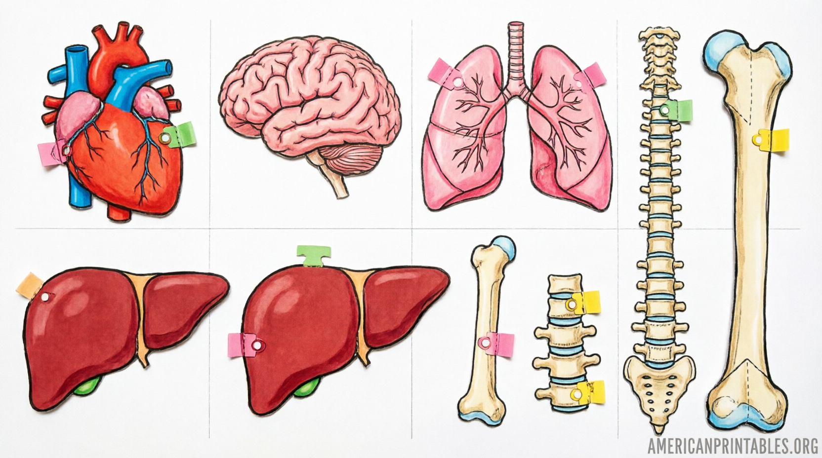 Free Printable Operation Game Pieces Guide (3)