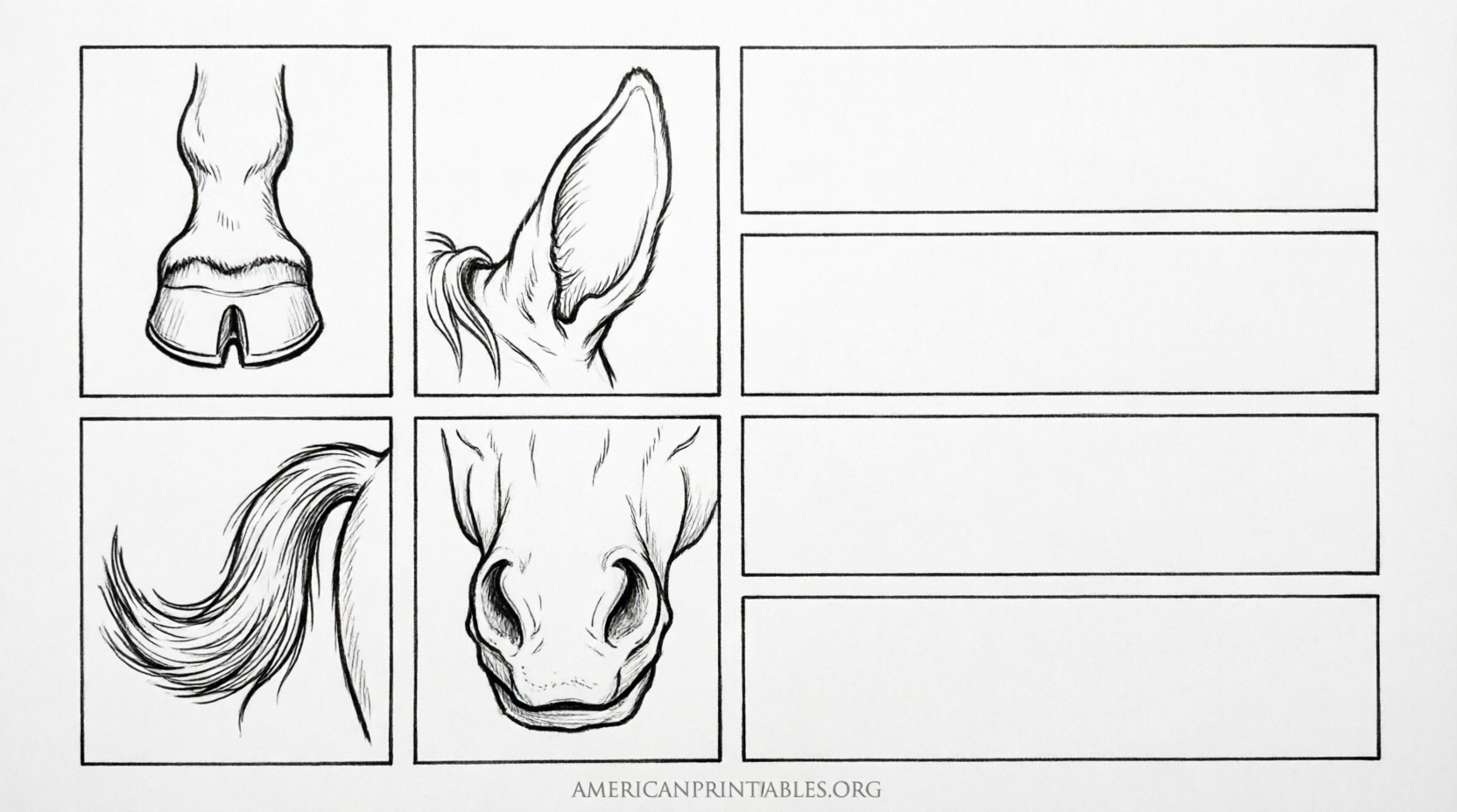 Free Printable Parts of the Horse Worksheet (3)
