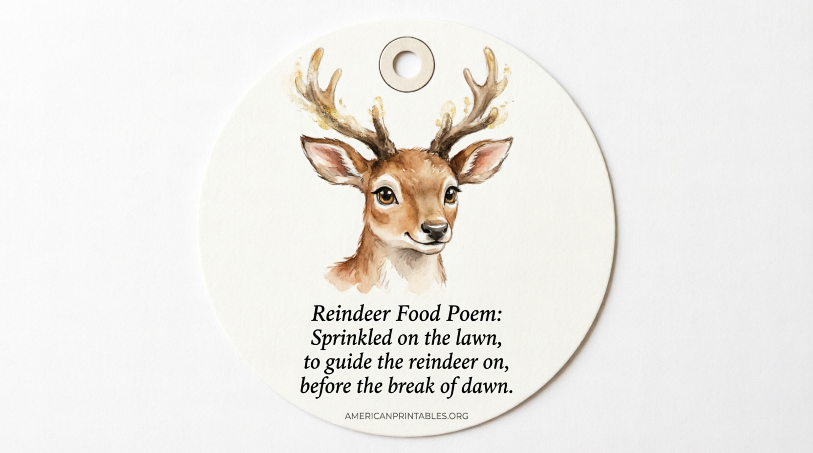 Free Reindeer Food Poem Printable Tags (1)