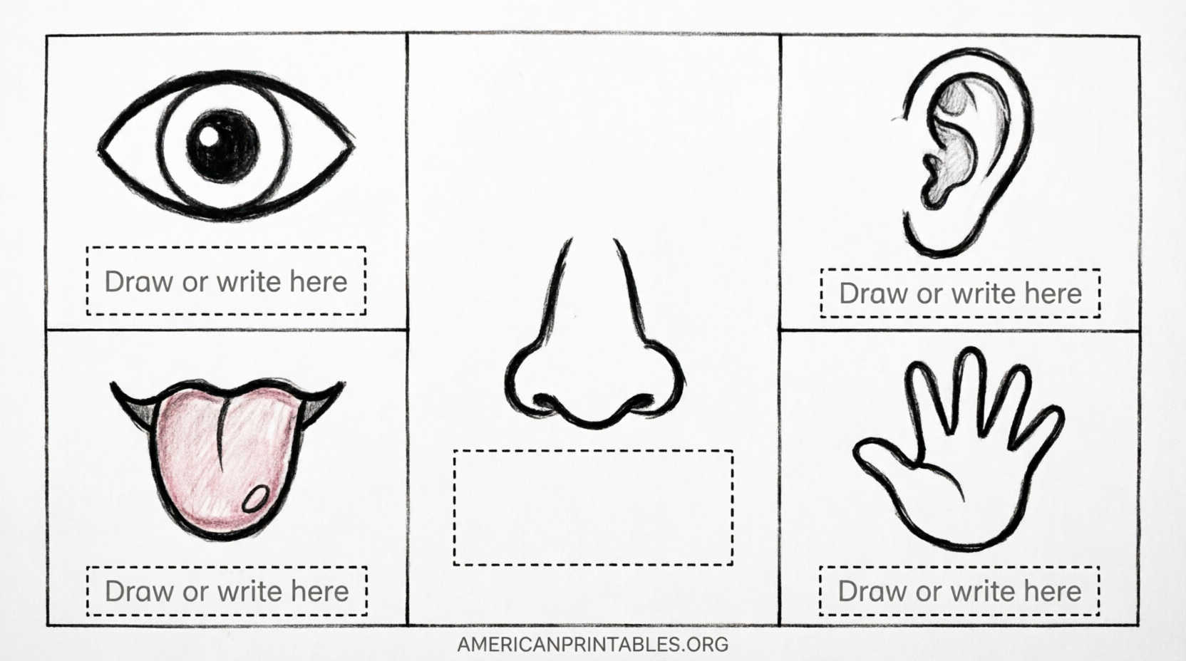 Free Printable 5 Senses Worksheets for Kindergarten (1)