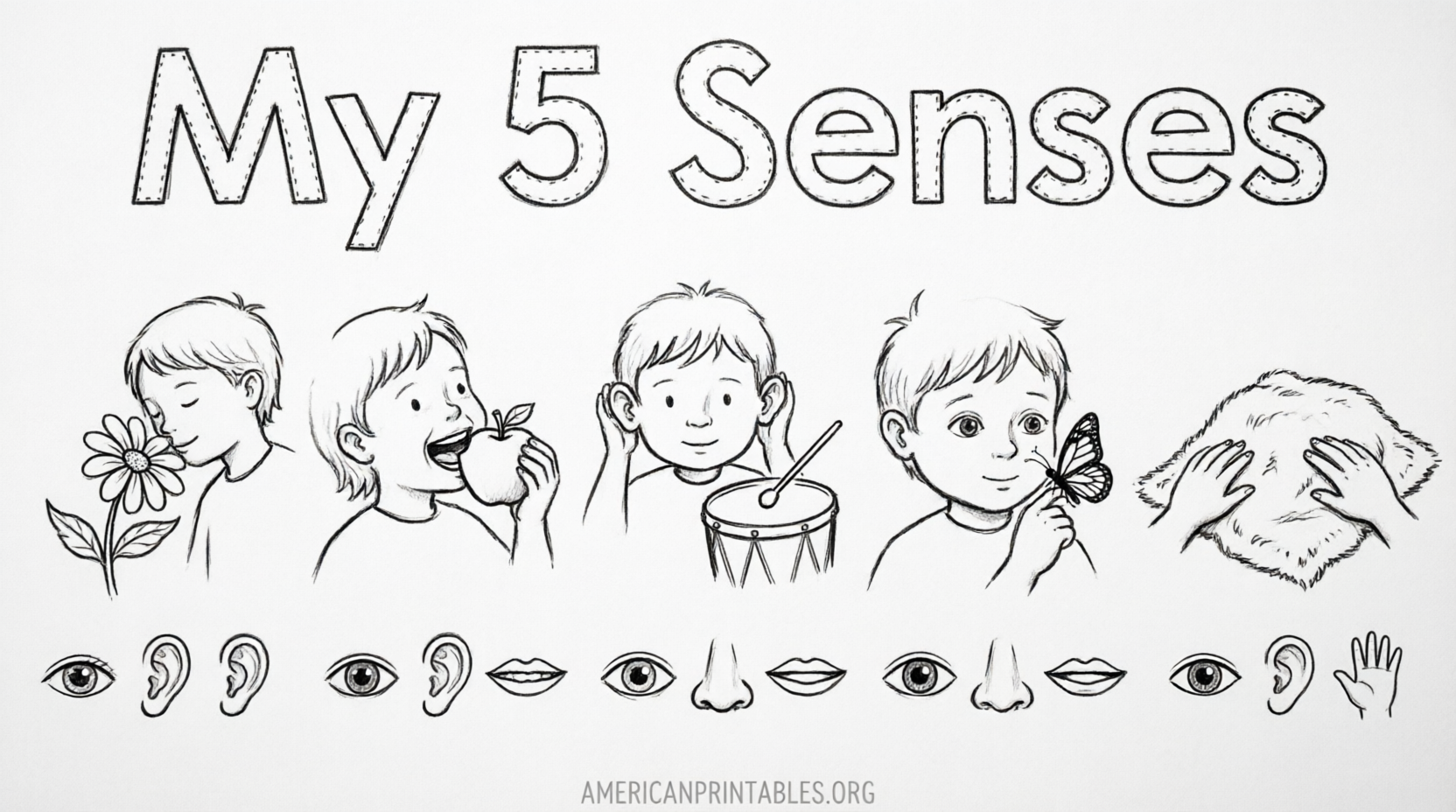 Free Printable 5 Senses Worksheets for Kindergarten (2)