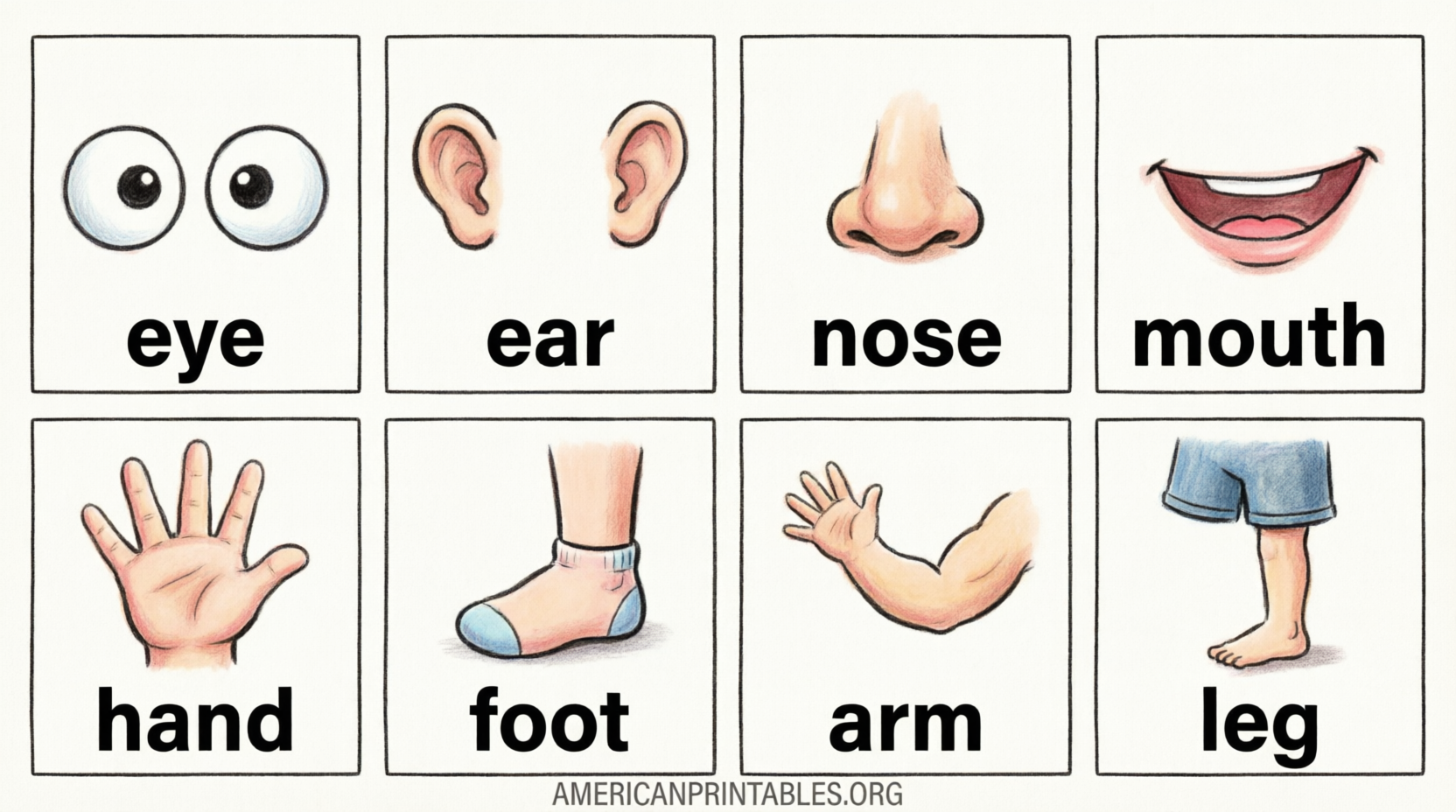 Free Printable Body Parts Flashcards for Kids (1)