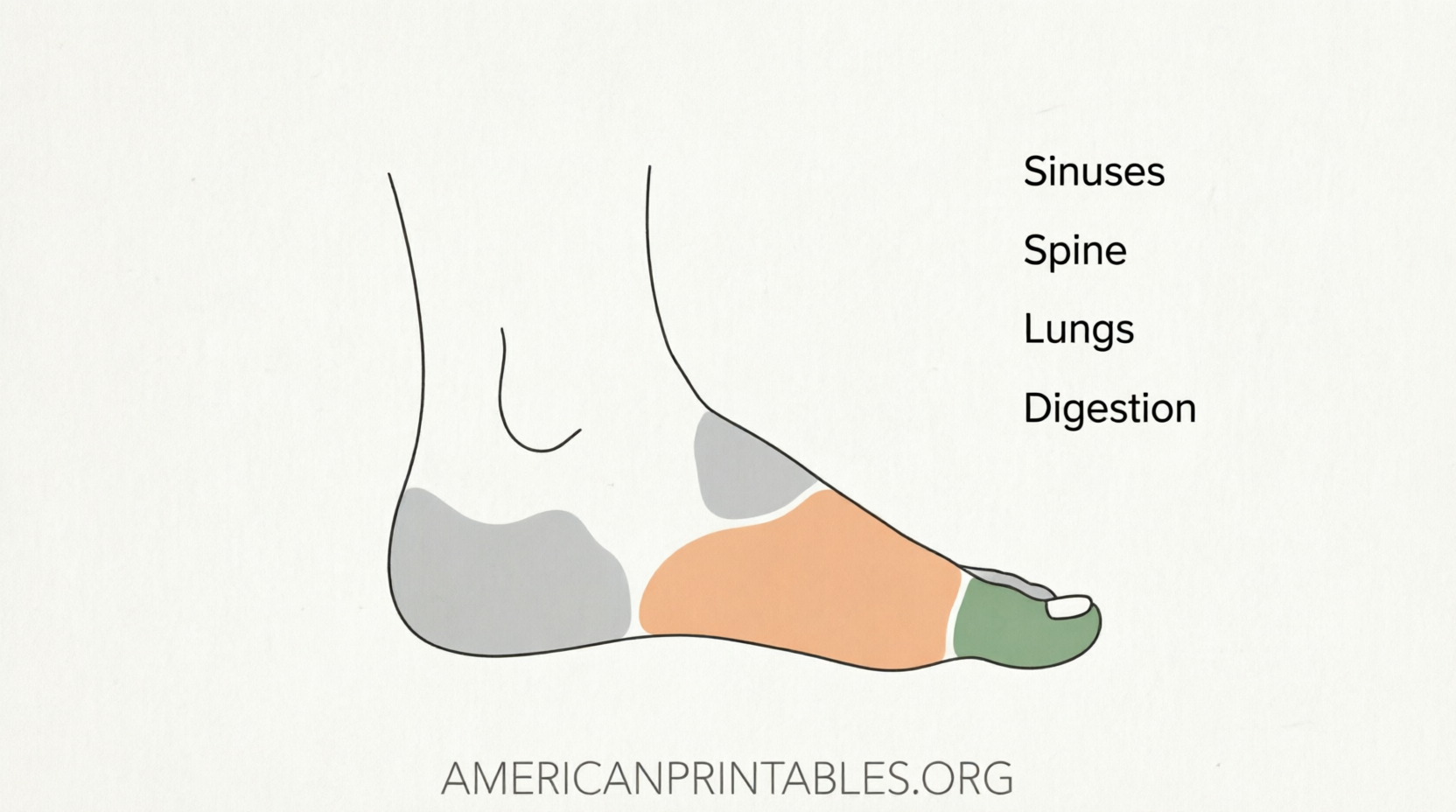 Free Printable Foot Reflexology Chart PDF Guide (4)