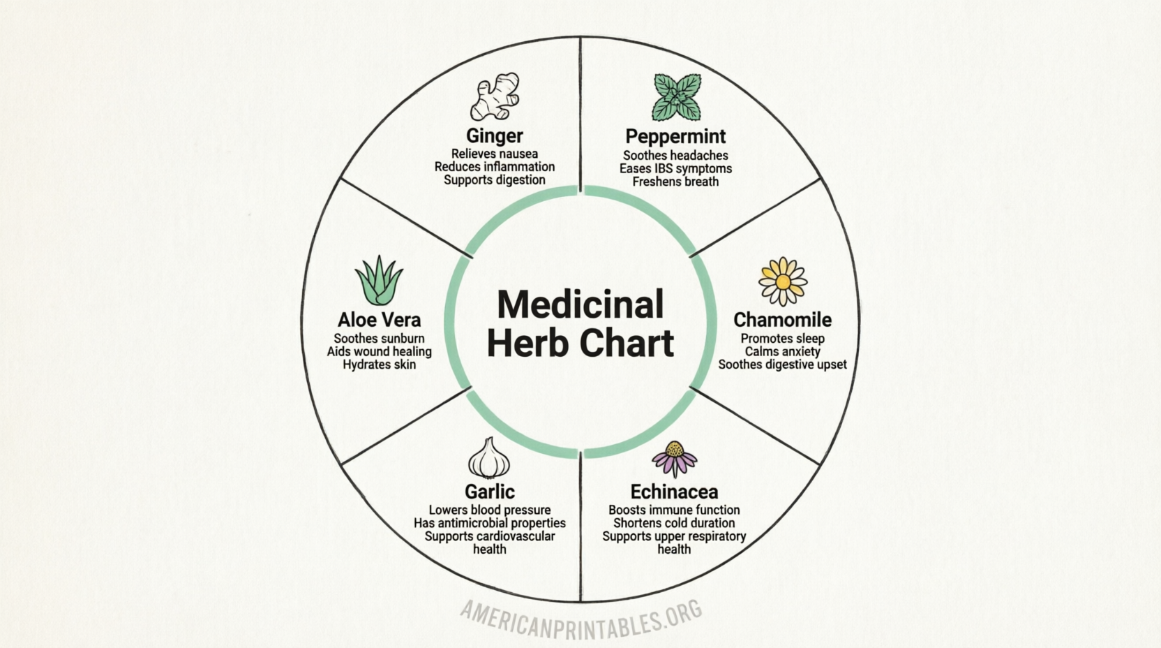 Free Printable Medicinal Herb Chart Guide (2)