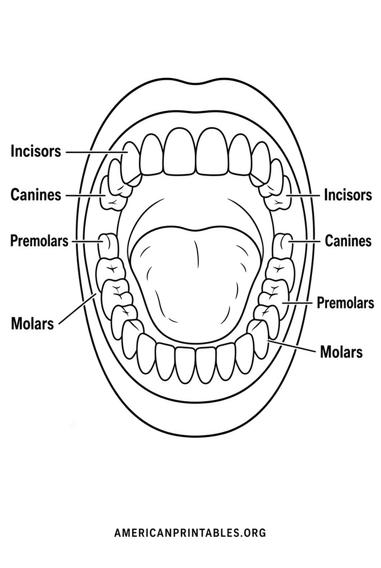Free Printable Mouth With Teeth for Kids (4)