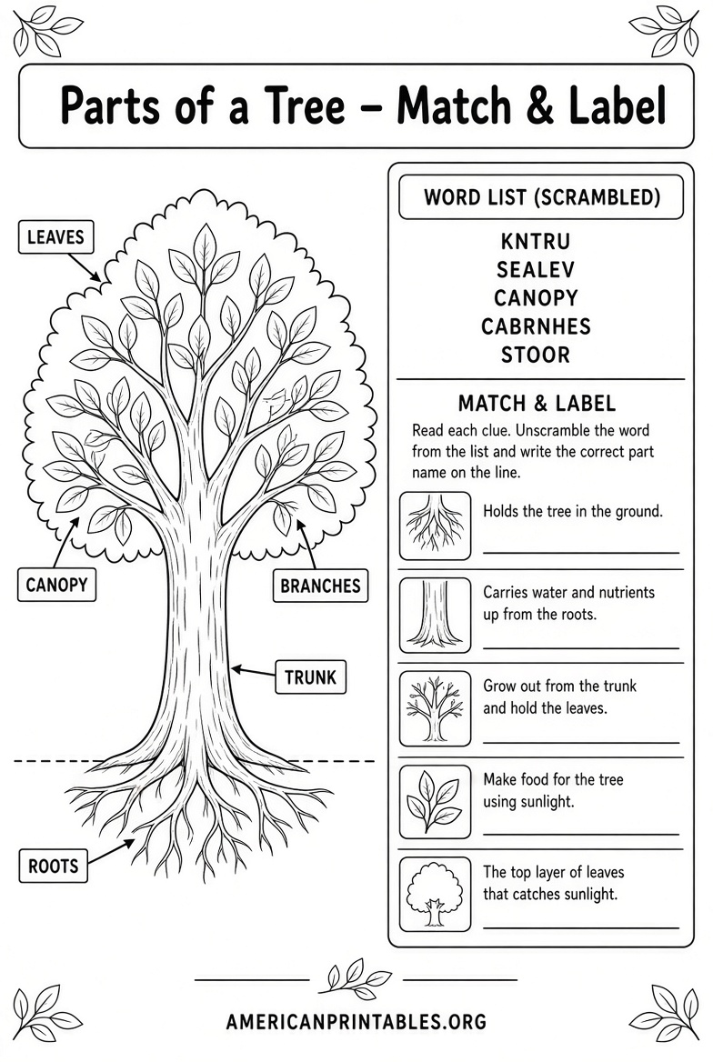 Free Printable Parts of a Tree Worksheet (1)