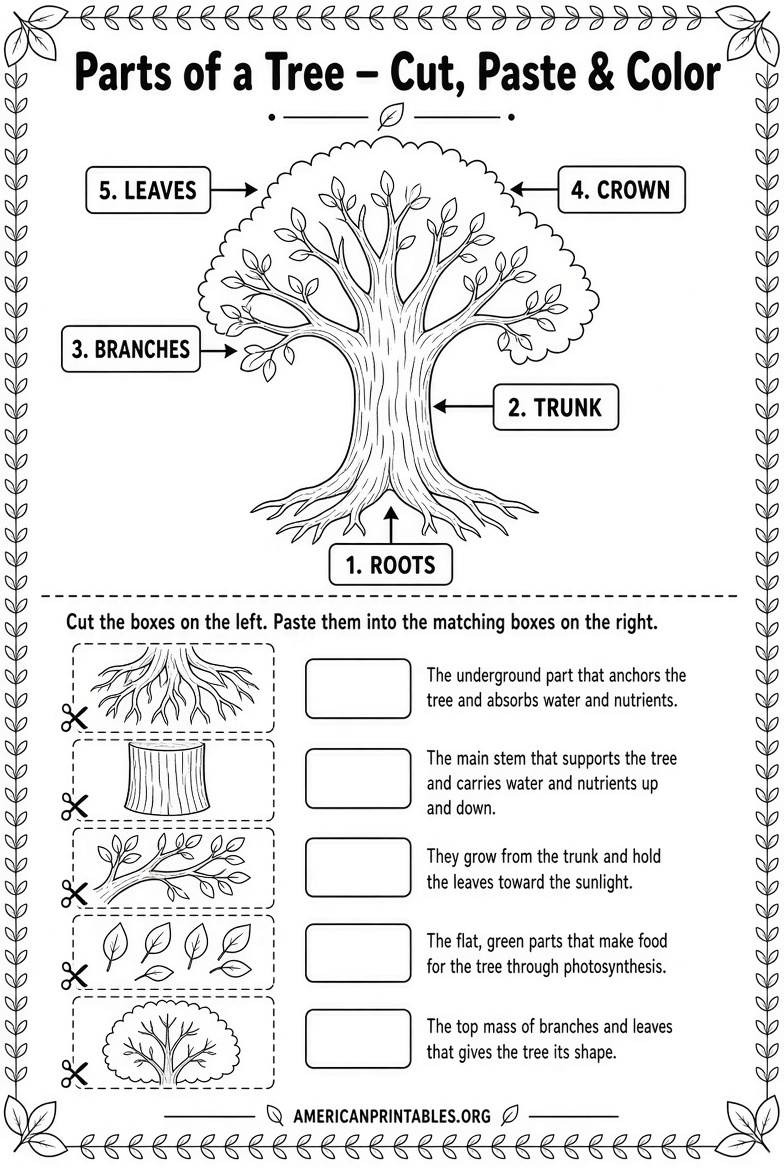 Free Printable Parts of a Tree Worksheet (3)