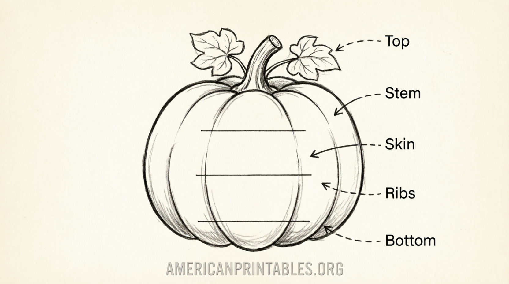 Parts of a Pumpkin Free Printable Worksheets (4)